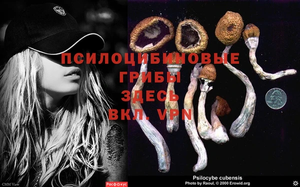 прущая мука Алексеевка