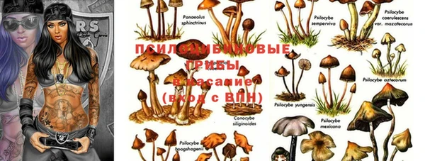 прущая мука Алексеевка