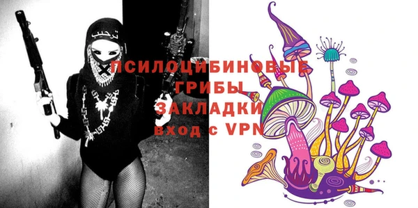 сатива Алексин